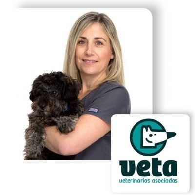 CLINICA VETERINARIA VETA