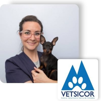 VETSICOR CENTRO VETERINARIO